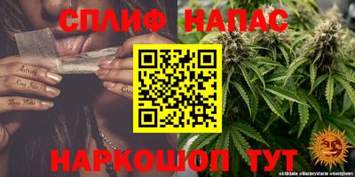 крисы Заводоуковск